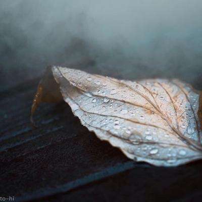 星空游戏下载手机版